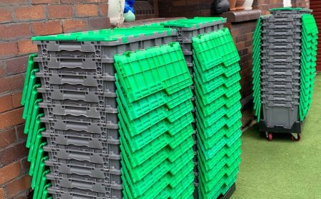 Expert Packing Tips to Make Your Move a Breeze: A Step-by-Step Guide