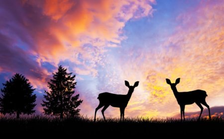 Bitachon in the Modern World