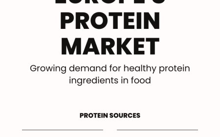 Europe Protein Market to Surpass Billion by 2033 Driven by Health Consciousness and Plant-Based Trends