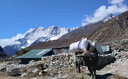 How to Pack Light and Efficiently for the Everest Base Camp Trek