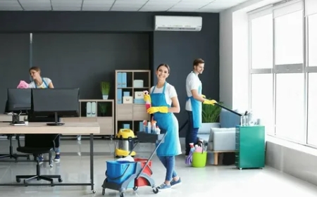 Comprehensive Guide to Office Clean Out Services in Kent, WA