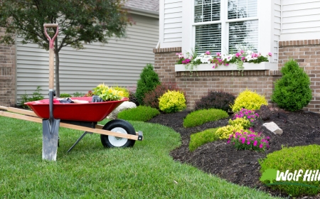 Discover the Lasting Benefits of Landscaping in Manassas, VA