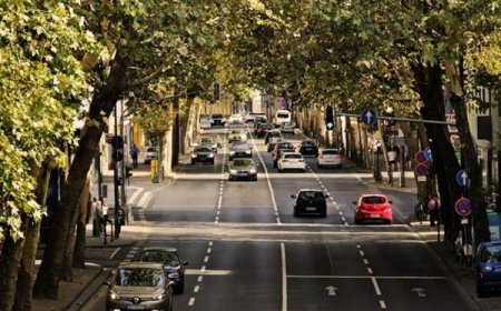 Global Logistics Leader [Customer Name] Adopts Flotilla IoT's White Label GPS Tracking Software to Optimize 5,000-Vehicle Fleet