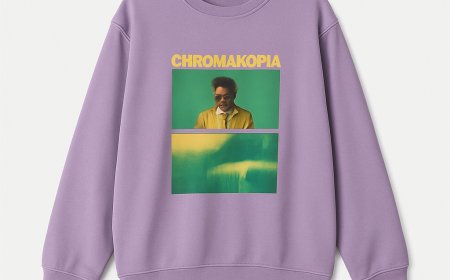 Tyler the Creator Merch: A Style That Breaks All the Rules