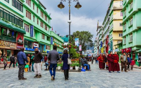 Explore the Charm and Buzz of MG Road Gangtok in Sikkim