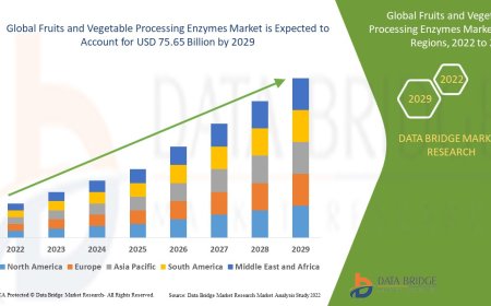 Fruits and Vegetable Processing Enzymes Market Surges as Clean Label and Shelf-Life Demand Accelerates