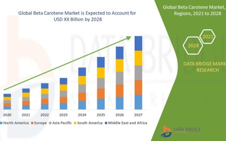 Beta Carotene Market Gains Traction with Rising Demand for Natural Food Additives and Supplements