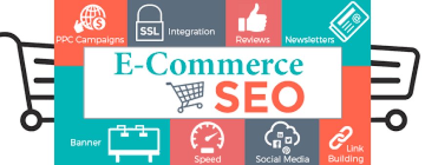 Ecommerce SEO Services: Your Site’s Checkup