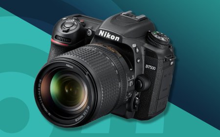 Most-Preferred Camera for Content Producers Buying to Capture Great Photos-and-Videos