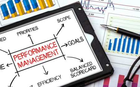 Performance Marketing Experts in Delhi NCR