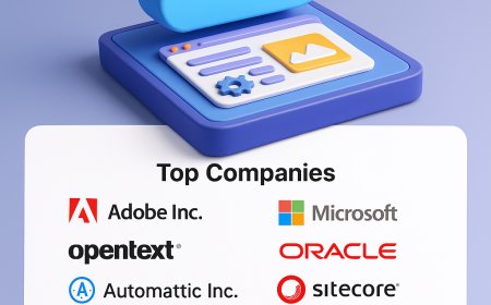 Cloud Web Content Management Market Investment Opportunities (2021–2031)