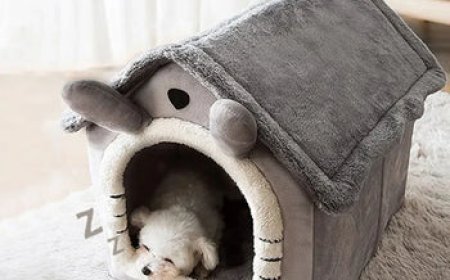 Premium Pet Housing – Comfortable & Durable Solutions for Your Pet