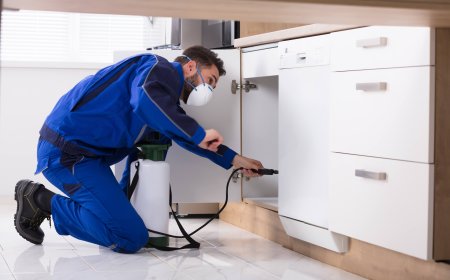 Precision Weed Control: The Early Edge Farmers Can’t Ignore