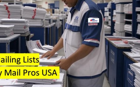 The Power of a Targeted Mailing List in Modern Marketing