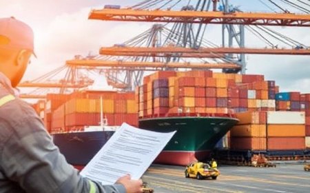 Exploring the Best Sea Freight Companies in Dubai for Businesses