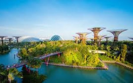 Are Pakistan Tour Packages Worth It in 2025?