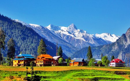 10 Tips for Booking the Right Tour Company for Your Trip