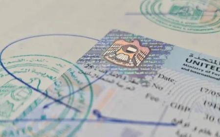 What Is Attestation from UAE Embassy and Why It Matters
