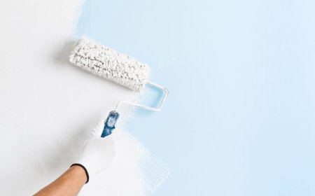 ISO-Certified Anti-Bacterial Paint for Medical Facilities | Alfa Medico