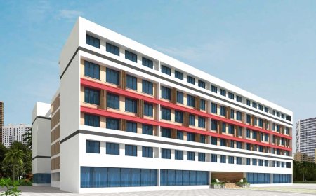 How to Apply for Scholarships: A Complete Guide for High School and International Students