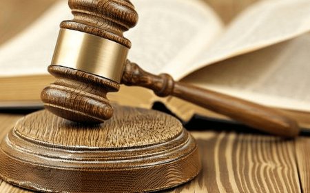 How Do Legal Professionals Support Clients in Insurance Battles?