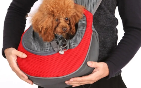 Stylish and Practical Dog Handbags for Modern Pet Owners