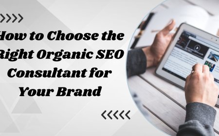 How to Choose the Right Organic SEO Consultant for Your Brand