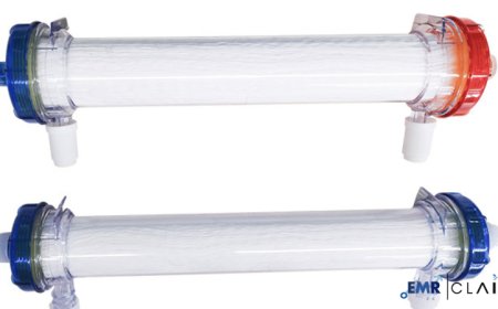 Dialyzer Market Insights: Advancing Renal Care with Innovation