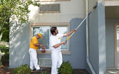 Who Offers Affordable Painting and Washing Services for Homes?
