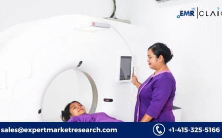 Interventional Radiology Market: Demand Forecast and Growth (2034)