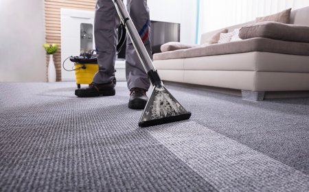 Refresh and Revive Your Carpets with Deep Steam Cleaning in Geelong